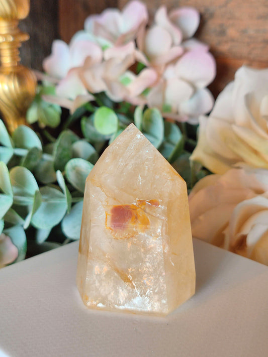 Golden Healer Spitze GH35