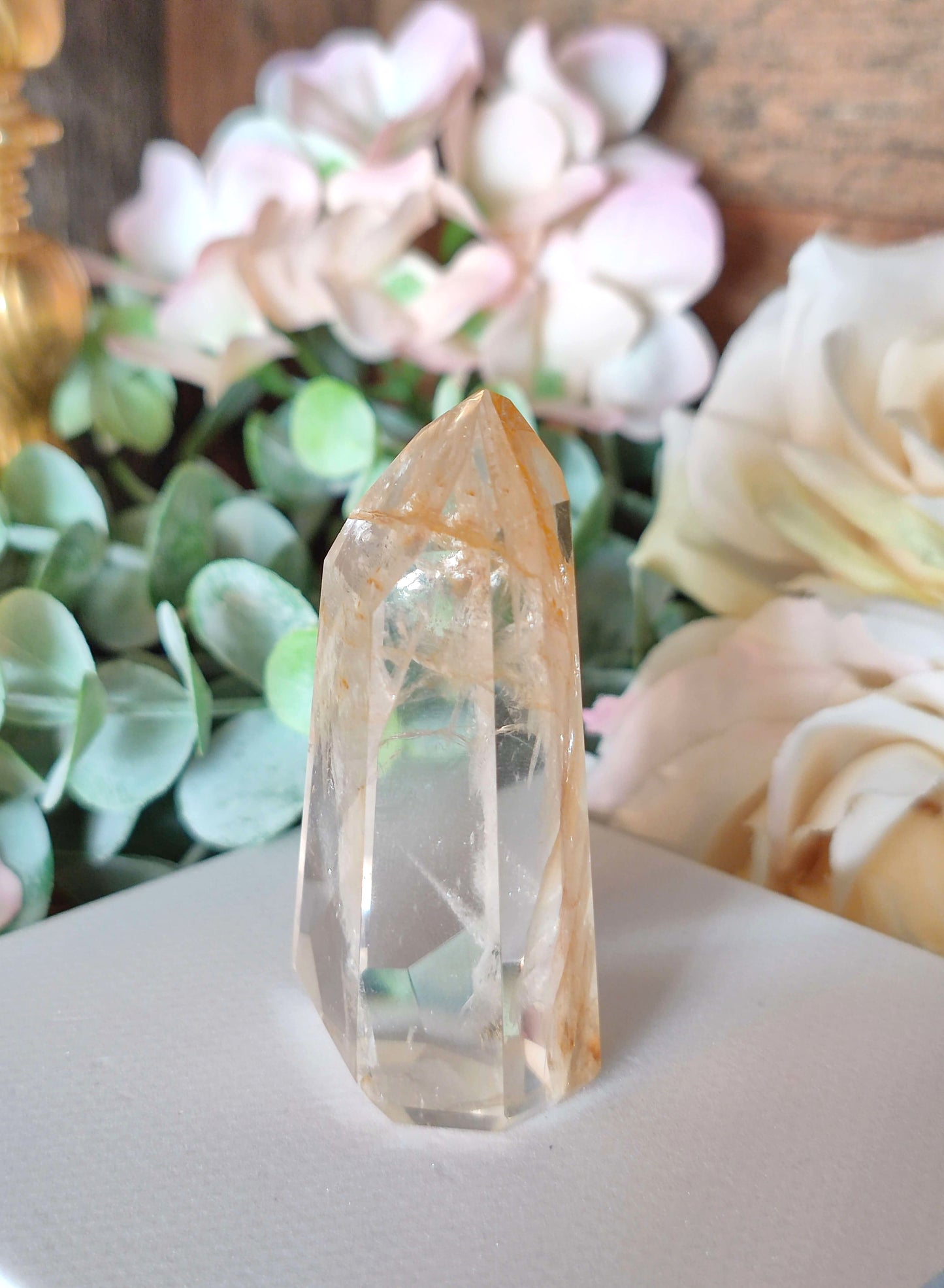 Golden Healer Spitze GH29