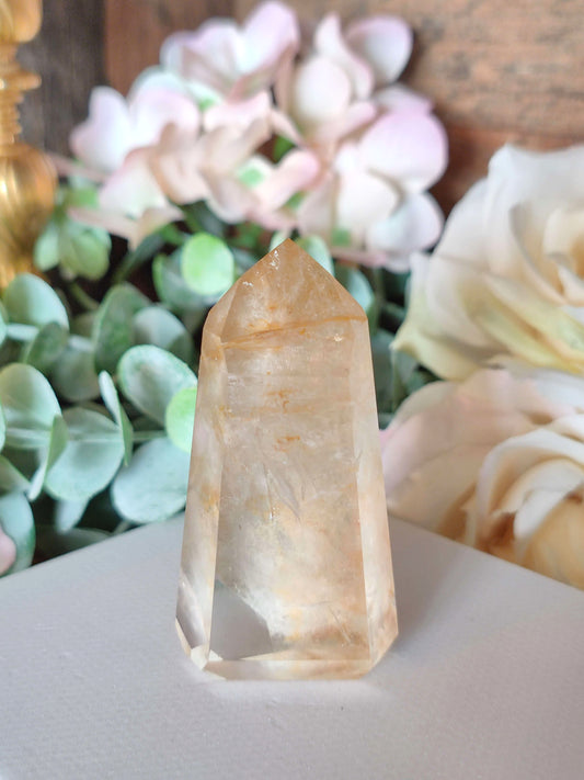 Golden Healer Spitze GH29